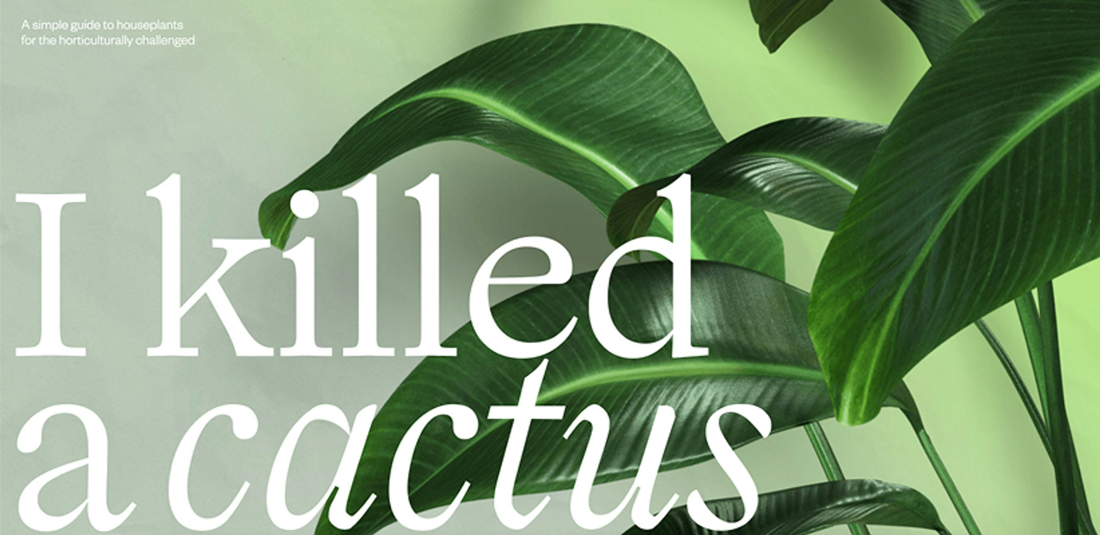 Graphic banner with a close-up of vibrant green houseplant leaves, featuring the humorous text 'I killed a cactus' in large, bold font.