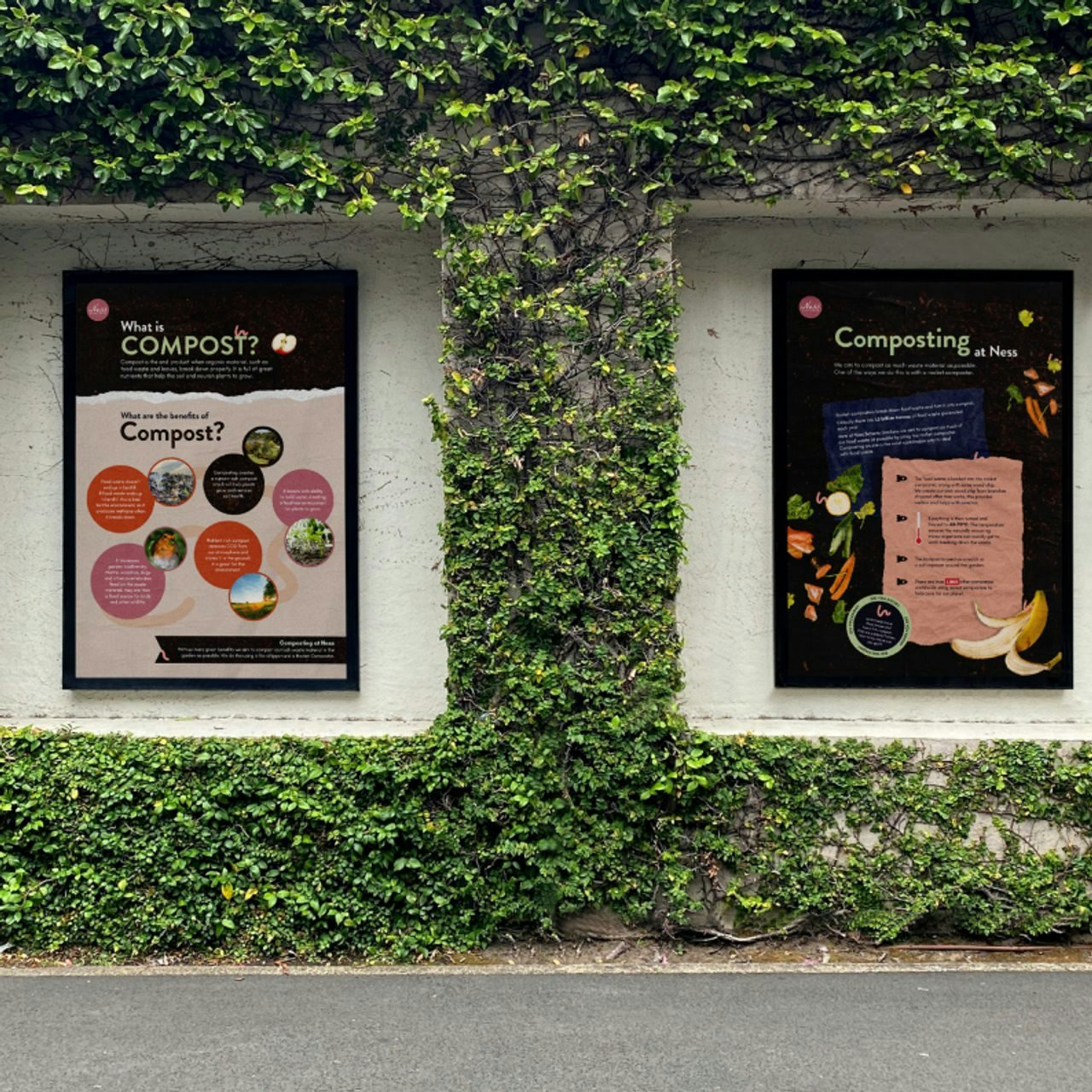 Mockup of informational posters for Ness Botanic Gardens surrounded by greenery.