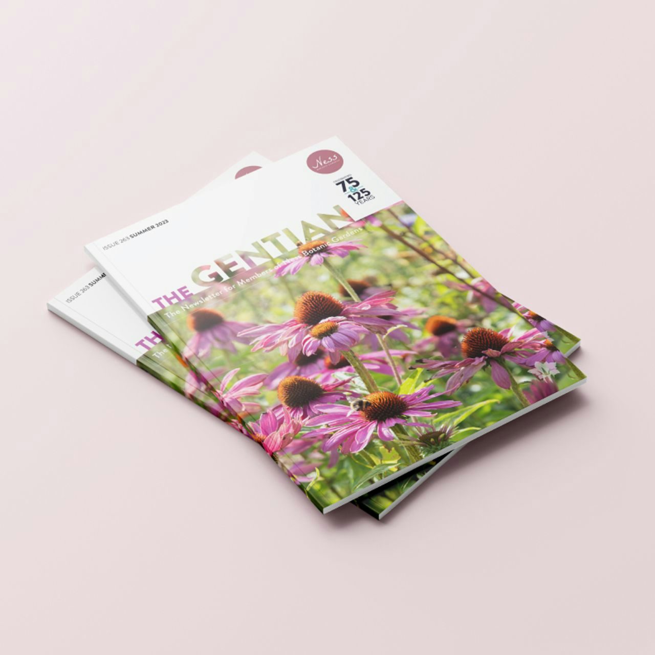 Stack of 'The Gentian' magazines with pink Echinacea flowers on the cover, on a soft pink background.